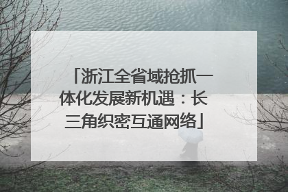 浙江全省域抢抓一体化发展新机遇：长三角织密互通网络