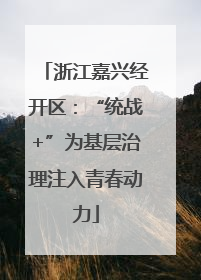 浙江嘉兴经开区：“统战+”为基层治理注入青春动力