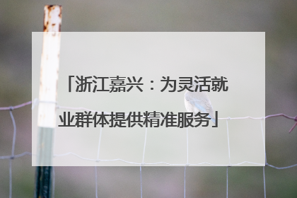 浙江嘉兴：为灵活就业群体提供精准服务