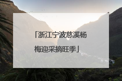 浙江宁波慈溪杨梅迎采摘旺季