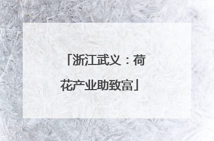 浙江武义：荷花产业助致富