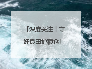 深度关注丨守好良田护粮仓