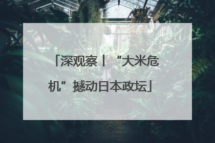 深观察丨“大米危机”撼动日本政坛