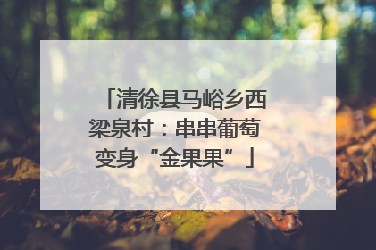 清徐县马峪乡西梁泉村：串串葡萄变身“金果果”