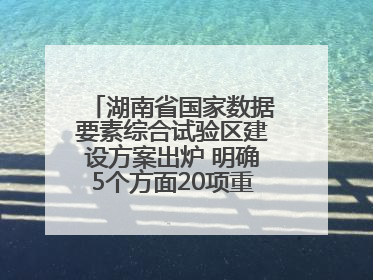湖南省国家数据要素综合试验区建设方案出炉 明确5个方面20项重点任务