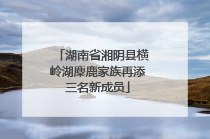 湖南省湘阴县横岭湖麋鹿家族再添三名新成员
