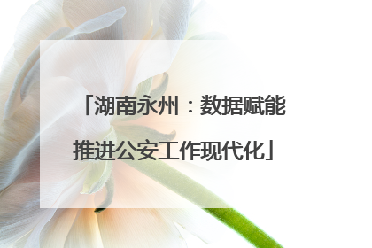 湖南永州：数据赋能推进公安工作现代化