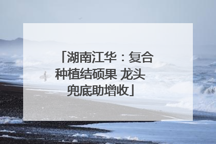 湖南江华：复合种植结硕果 龙头兜底助增收