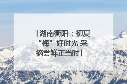 湖南衡阳：初夏“梅”好时光 采摘尝鲜正当时