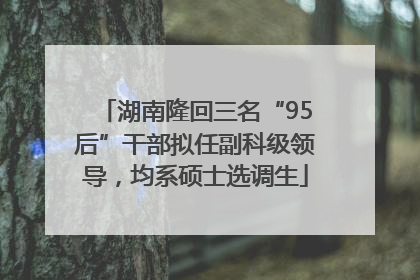 湖南隆回三名“95后”干部拟任副科级领导，均系硕士选调生