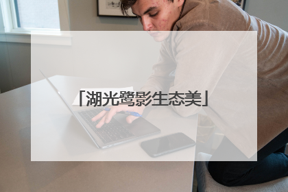 湖光鹭影生态美