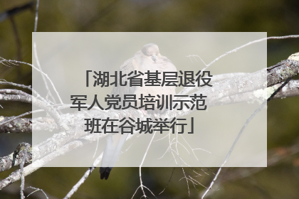 湖北省基层退役军人党员培训示范班在谷城举行