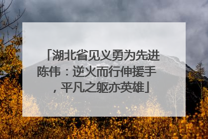 湖北省见义勇为先进陈伟：逆火而行伸援手，平凡之躯亦英雄