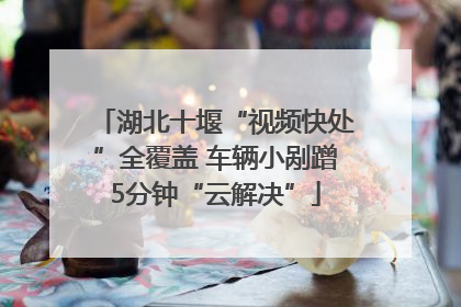 湖北十堰“视频快处”全覆盖 车辆小剐蹭5分钟“云解决”
