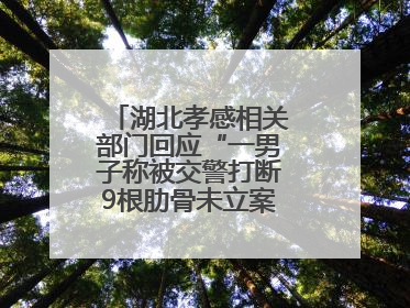 湖北孝感相关部门回应“一男子称被交警打断9根肋骨未立案”：已成立联合专班开展工作