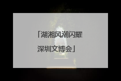 湖湘风潮闪耀深圳文博会