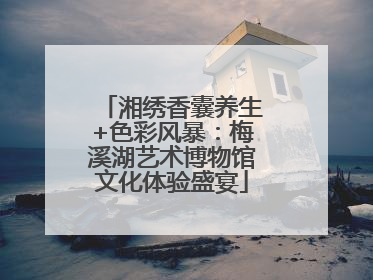 湘绣香囊养生+色彩风暴：梅溪湖艺术博物馆文化体验盛宴