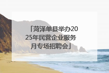 菏泽单县举办2025年民营企业服务月专场招聘会