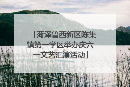 菏泽鲁西新区陈集镇第一学区举办庆六一文艺汇演活动