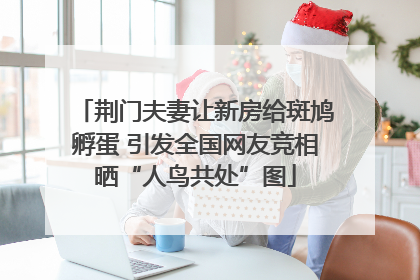 荆门夫妻让新房给斑鸠孵蛋 引发全国网友竞相晒“人鸟共处”图