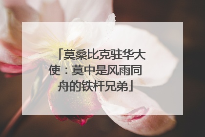 莫桑比克驻华大使：莫中是风雨同舟的铁杆兄弟