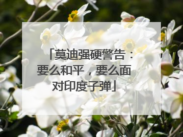 莫迪强硬警告：要么和平，要么面对印度子弹