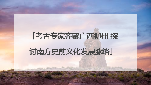 考古专家齐聚广西柳州 探讨南方史前文化发展脉络