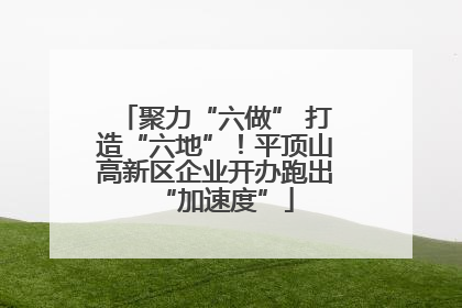 聚力“六做” 打造“六地”！平顶山高新区企业开办跑出“加速度”