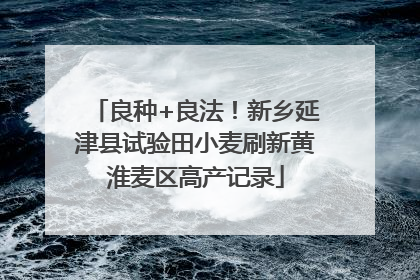 良种+良法！新乡延津县试验田小麦刷新黄淮麦区高产记录