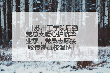 苏州工学院后勤党总支暖心护航毕业季，党员志愿接驳传递母校温情