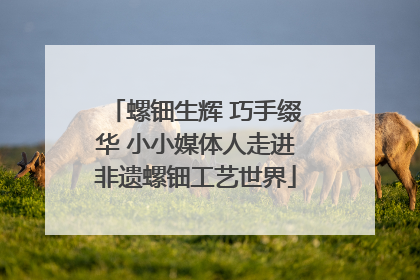 螺钿生辉 巧手缀华 小小媒体人走进非遗螺钿工艺世界