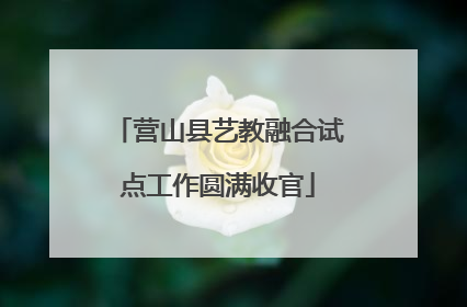 营山县艺教融合试点工作圆满收官
