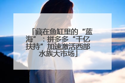 藏在鱼缸里的“蓝海”：拼多多“千亿扶持”加速激活西部水族大市场