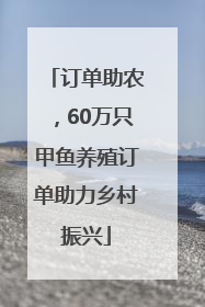 订单助农，60万只甲鱼养殖订单助力乡村振兴