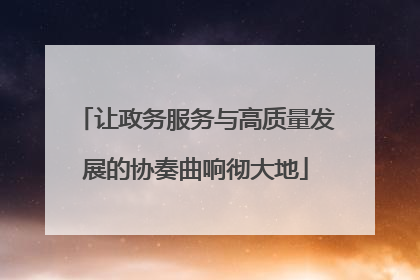 让政务服务与高质量发展的协奏曲响彻大地