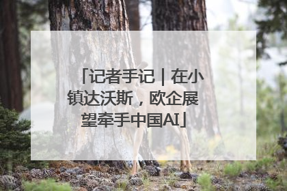 记者手记｜在小镇达沃斯，欧企展望牵手中国AI