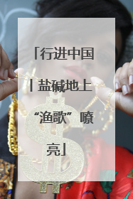 行进中国丨盐碱地上“渔歌”嘹亮