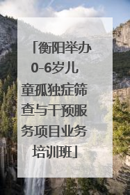 衡阳举办0-6岁儿童孤独症筛查与干预服务项目业务培训班