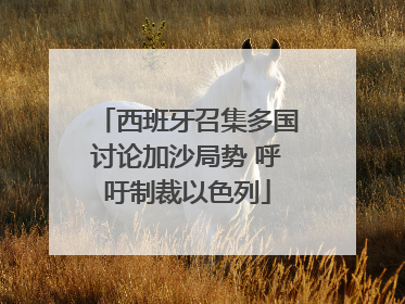 西班牙召集多国讨论加沙局势 呼吁制裁以色列