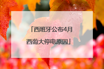 西班牙公布4月西葡大停电原因