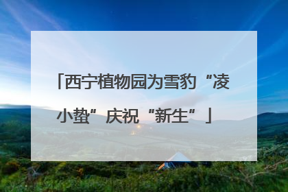 西宁植物园为雪豹“凌小蛰”庆祝“新生”