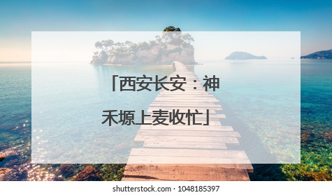 西安长安：神禾塬上麦收忙