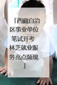 西藏自治区事业单位笔试开考 林芝就业服务亮点频现