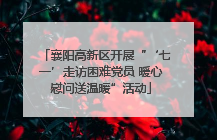 襄阳高新区开展“‘七一’走访困难党员 暖心慰问送温暖”活动