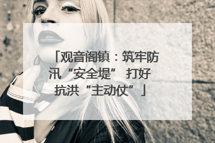 观音阁镇：筑牢防汛“安全堤” 打好抗洪“主动仗”