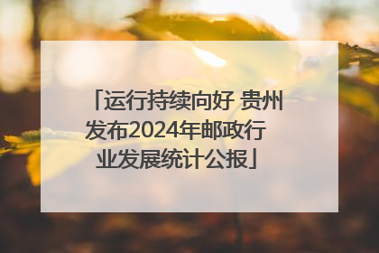 运行持续向好 贵州发布2024年邮政行业发展统计公报