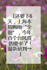 还要下6天，上海本周梅雨“全勤”，今年首个台风真的要来了！最新研判→