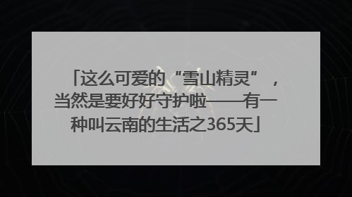 这么可爱的“雪山精灵”，当然是要好好守护啦——有一种叫云南的生活之365天