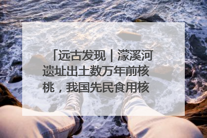 远古发现｜濛溪河遗址出土数万年前核桃，我国先民食用核桃历史大幅提前