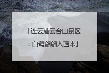 连云港云台山景区：白鹭翩翩入画来
